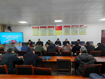 雷家店镇：强化联排联控联防，着力推进专项治理工作走深走实