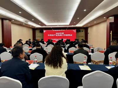 【学习贯彻落实全县加快高质量发展推进会会议精神】县特色产业发展促进中心召开2025年度中药材产业发展工作部署会