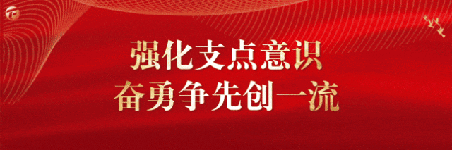 “科技兴农”引领马曹庙镇农业现代化新篇章