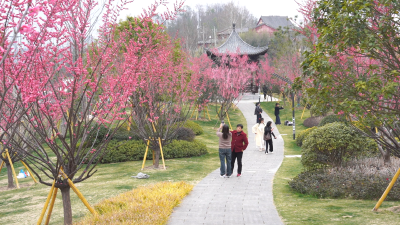梅花花開迎春來 暗香浮動(dòng)惹人愛