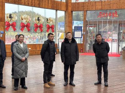 赵县长一行到吴家山林场调研文旅产业发展