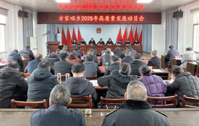 方家咀乡：乘势而上开新局 砥砺奋进启新篇 
