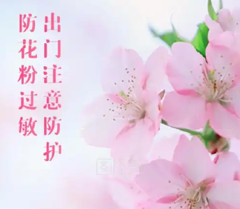【视频】如何预防花粉过敏