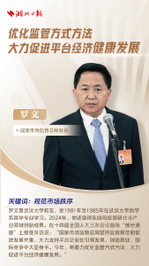 全国两会“三大通道”上，这些闪耀的“湖北身影”