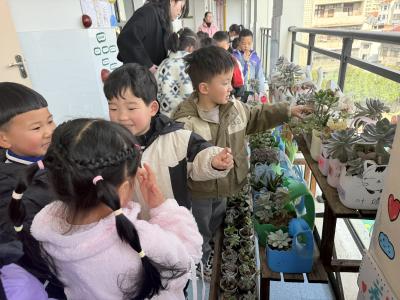 【教育之窗】第三幼儿园：探秘多肉植物 感受自然之美