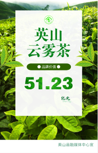 重磅！英山云雾茶品牌价值达51.23亿元