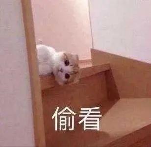 上4休5上4，文旅部推荐了红安！
