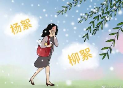 【视频】全方位防飞絮 谨记六字口诀