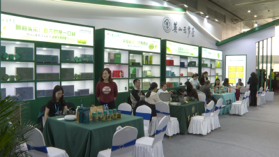 【视频】茶香引客药香聚商 英山特色产品“香”飘世界大健康博览会