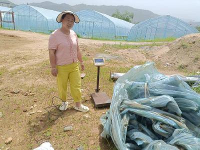 红山镇：守一方沃土 “膜”力换新颜