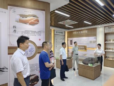 市中医药企业高层次人才需求调研专班来我县开展专题调研