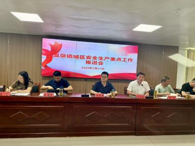 温泉镇组织召开城区安全生产重点工作推进会
