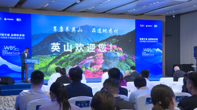【强县工程在英山】英山品牌亮相2025世界品牌莫干山大会