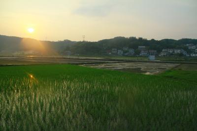 【爱我三河·行摄英山】沙湾河村：夕照山乡耕种忙