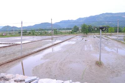 【爱我三河·行摄英山】初夏中稻插秧忙 乡村田园好“丰”光