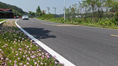 县公路事业发展中心：扮靓风景线 护航幸福路 