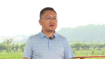 英山县茶产业技术创新联合体开启我县茶产业发展新篇章