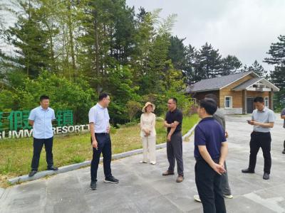 县领导带队调研桃花冲创建国家级旅游度假区工作