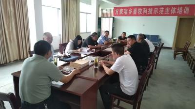 县畜牧兽医事业发展中心：开展免疫监测 护航畜牧健康