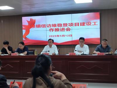 温泉镇召开信访维稳暨项目建设工作推进会