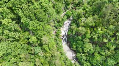 【文旅康养年·七大行动】桃花冲省级旅游度假区焕新升级 打造沉浸式文旅地标