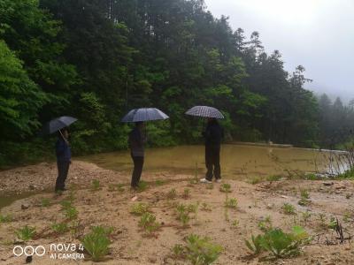 桃花冲林场积极实施防汛隐患排查  严密构建安全防护体系