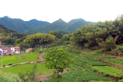 【爱我三河·行摄英山】龙潭畈村：夏日山乡美如画