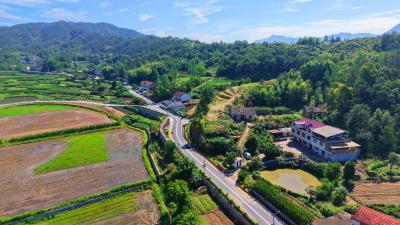 【爱我三河·行摄英山】“四好农村路”绘就乡村振兴的新“图”景