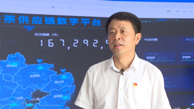 【實(shí)干爭(zhēng)先·奮斗有我——英山縣“干部素質(zhì)提升年”書(shū)記局長(zhǎng)全媒體訪談】縣國(guó)投、九昇集團(tuán)：擇高而立 奮勇攻堅(jiān) 以“五大行動(dòng)”展現(xiàn)支點(diǎn)建設(shè)新作為