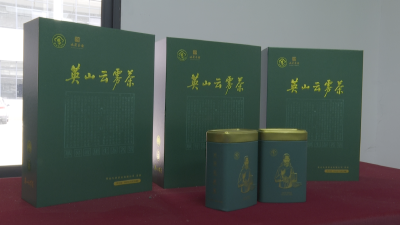 【改革攻坚进行时】县发展和改革局全力构建“环大别山”区域协同发展体制机制