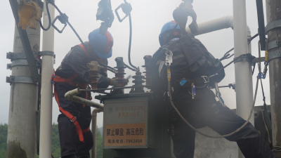 【視頻】國網(wǎng)英山縣供電公司全力搶修保供電