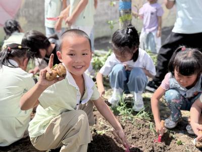 【教育之窗】县直机关幼儿金铺园区实践活动趣味满满