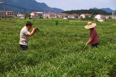 一個駐村干部的助農(nóng)情懷