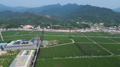 【视频】金家铺镇全力推进河西产业路建设