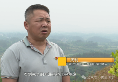 【创业路上】周利：十年开荒种油茶 只为做好一滴油
