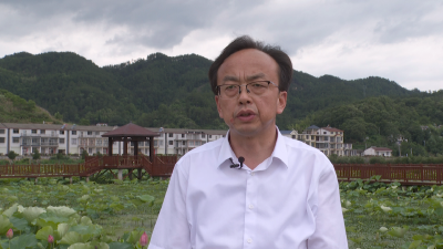 【实干争先·奋斗有我——英山县“干部素质提升年”书记局长全媒体访谈】温泉镇：实干争先谋发展 温泉热土谱新篇