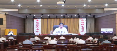 【视频】我县组织收听收看二季度全市招商引资工作推进会议暨重点项目开工入库调度视频会议