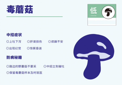 警惕野生蘑菇中毒