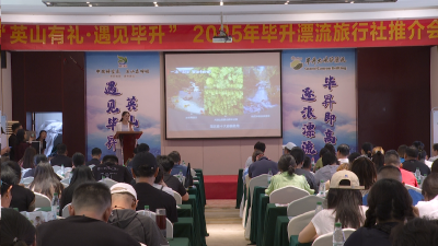 【视频】“英山有礼·遇见毕昇”2025武汉市场旅行社考察推广活动在我县举行