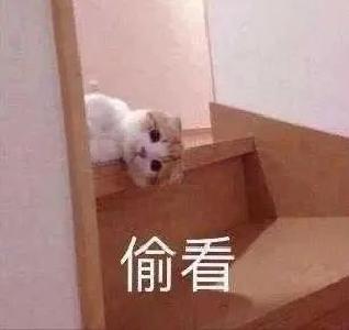红安，抖音播放量5亿+！