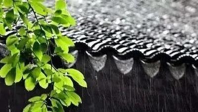 【視頻】雨季防病有妙招 