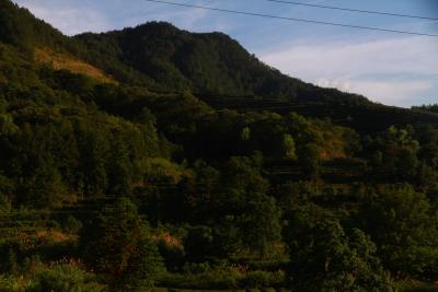 【愛我三河·行攝英山】高山夕照茶園如畫