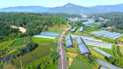 【愛我三河·行攝英山】路暢景美產(chǎn)業(yè)興