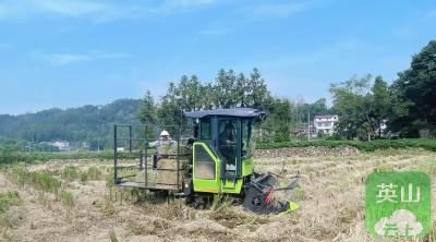 变“废”为宝促循环 点“秆”成金助振兴 ——方家咀乡桑园村秸秆综合利用工作纪实