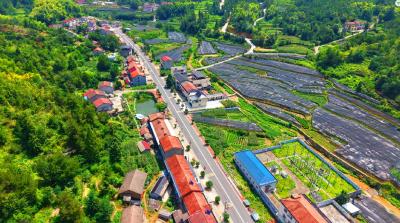 【“数”说英山“十四五”】英山交通绘新篇 全县公路总里程达2943.37公里