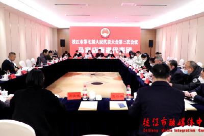 【聚焦两会】人大代表分组审议市人大常委会工作报告和“两院”工作报告