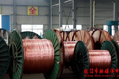 红旗中泰：不负春光加速跑 奋力冲刺开门红