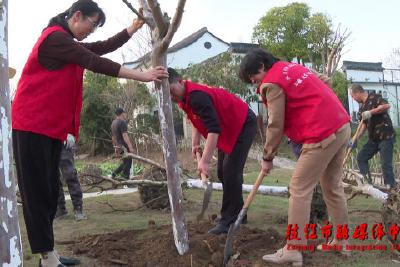 枝江：植下绿色希望 共建生态家园