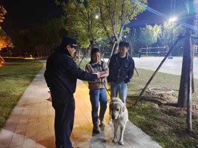 依法文明养犬！枝江城管开展犬只专项整治