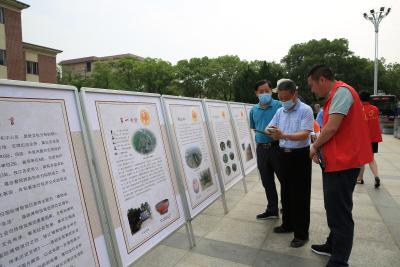 市博物馆举办《保护文化遗产 传承历史文明》展览暨国际博物馆日宣传活动 